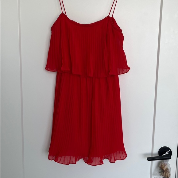 Zara Pleated Ruffle Dress - Picture 3 of 6